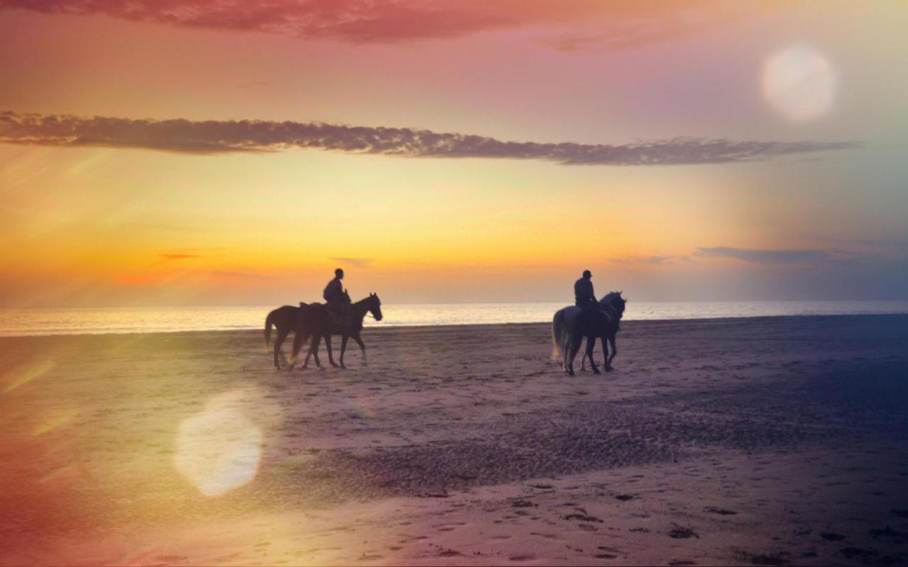 Blue Wave Lodge Agadir n'Ait Sa エクステリア 写真